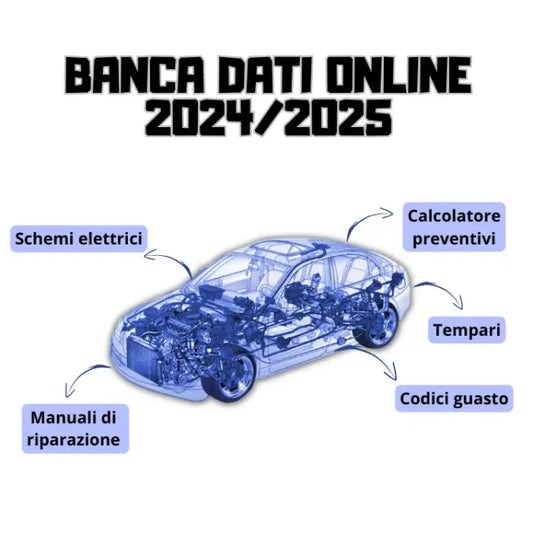 BANCA DATI AUTO 2024-2025